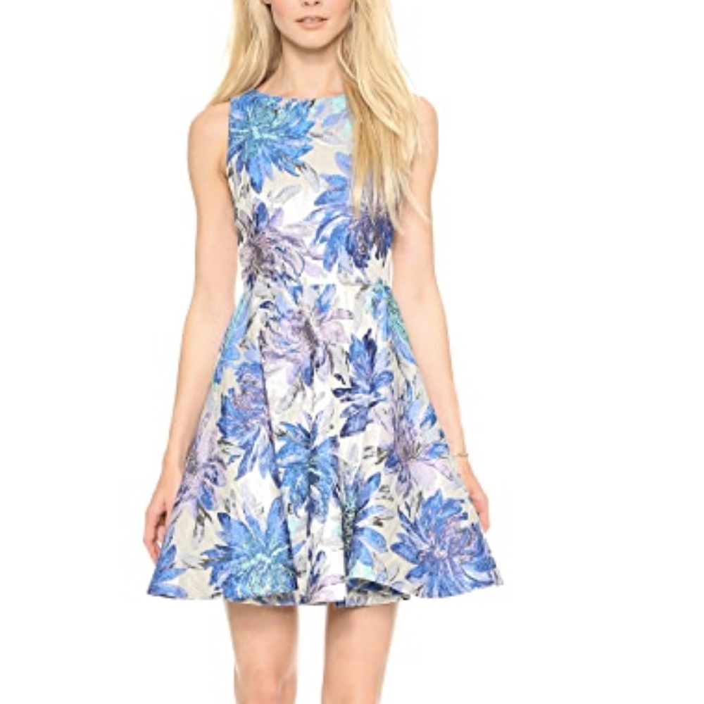 Alice & Olivia Foss fit and flare mini dress
